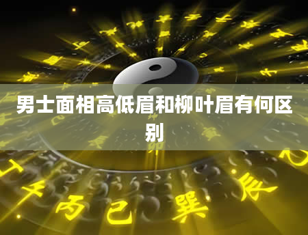 男士面相高低眉和柳叶眉有何区别