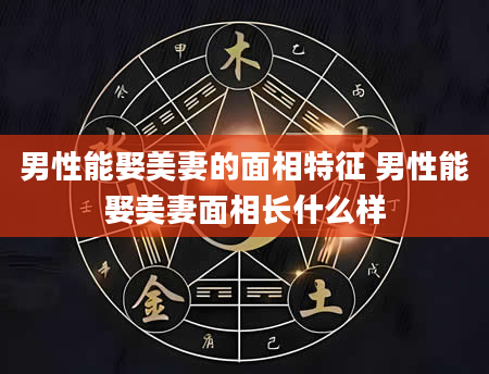 男性能娶美妻的面相特征 男性能娶美妻面相长什么样