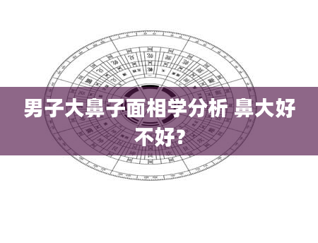男子大鼻子面相学分析 鼻大好不好？