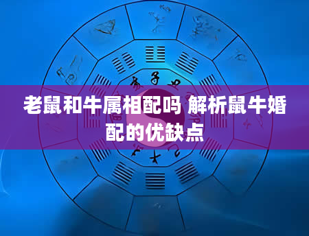 老鼠和牛属相配吗 解析鼠牛婚配的优缺点