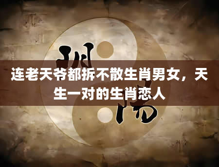 连老天爷都拆不散生肖男女，天生一对的生肖恋人