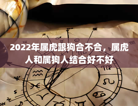 2022年属虎跟狗合不合，属虎人和属狗人结合好不好