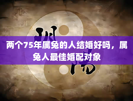 两个75年属兔的人结婚好吗，属兔人最佳婚配对象