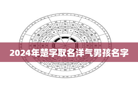 2024年楚字取名洋气男孩名字