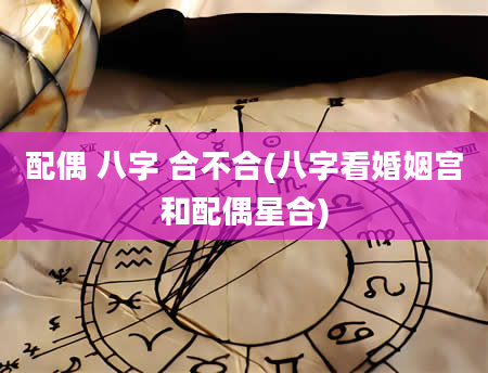 配偶 八字 合不合(八字看婚姻宫和配偶星合)