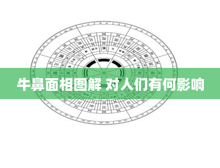 牛鼻面相图解 对人们有何影响