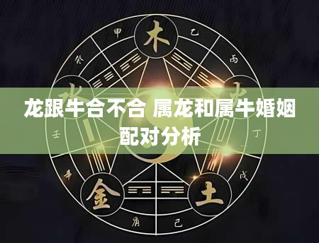 龙跟牛合不合 属龙和属牛婚姻配对分析