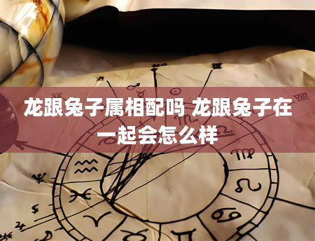 龙跟兔子属相配吗 龙跟兔子在一起会怎么样
