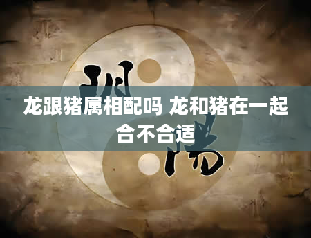 龙跟猪属相配吗 龙和猪在一起合不合适