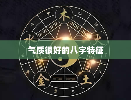 气质很好的八字特征