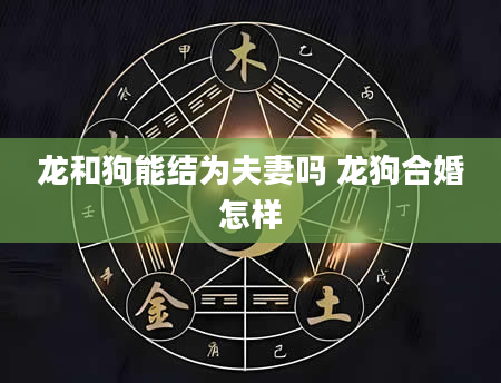 龙和狗能结为夫妻吗 龙狗合婚怎样