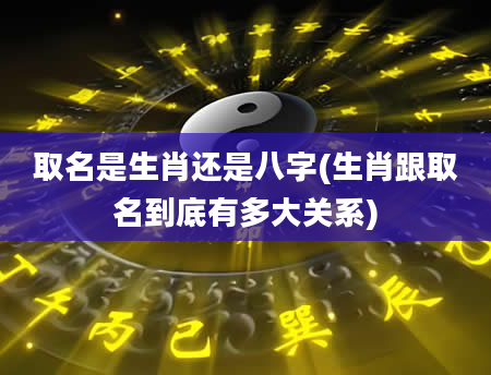 取名是生肖还是八字(生肖跟取名到底有多大关系)