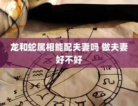 龙和蛇属相能配夫妻吗 做夫妻好不好