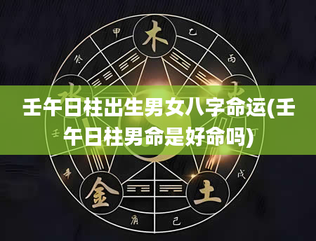 壬午日柱出生男女八字命运(壬午日柱男命是好命吗)
