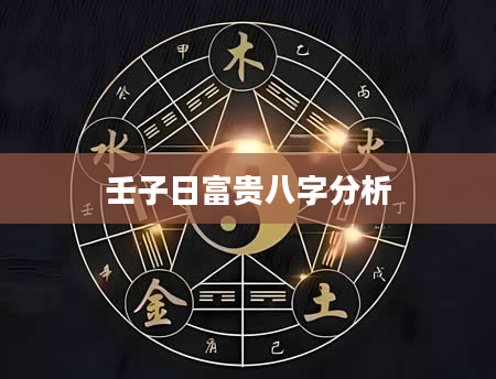 壬子日富贵八字分析