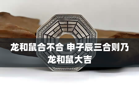 龙和鼠合不合 申子辰三合则乃龙和鼠大吉