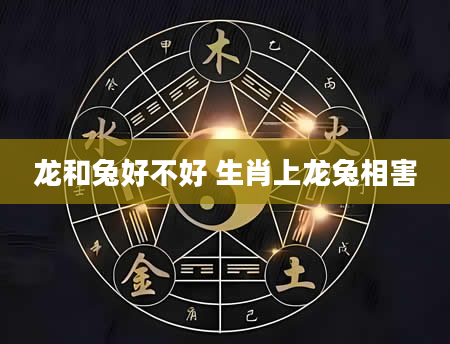 龙和兔好不好 生肖上龙兔相害