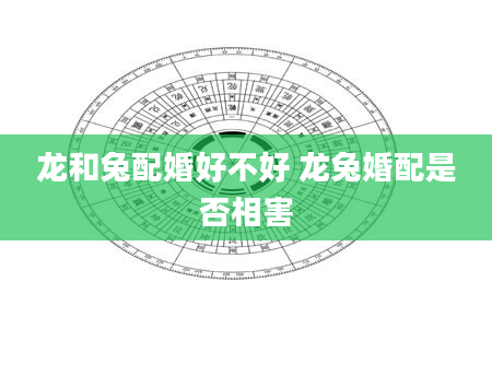 龙和兔配婚好不好 龙兔婚配是否相害