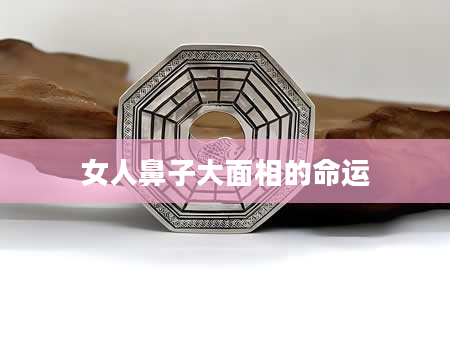 女人鼻子大面相的命运