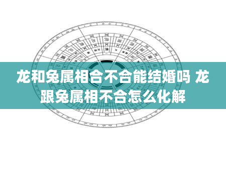 龙和兔属相合不合能结婚吗 龙跟兔属相不合怎么化解