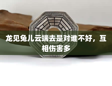 龙见兔儿云端去是对谁不好，互相伤害多
