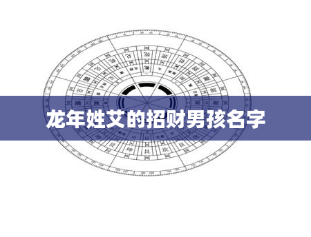龙年姓艾的招财男孩名字