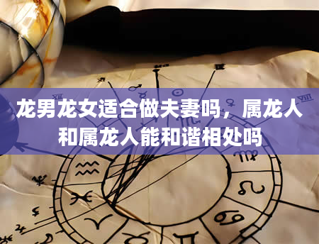 龙男龙女适合做夫妻吗，属龙人和属龙人能和谐相处吗