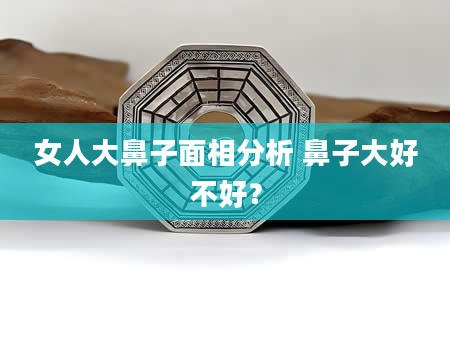 女人大鼻子面相分析 鼻子大好不好？