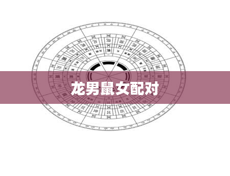 龙男鼠女配对