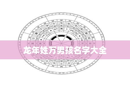 龙年姓万男孩名字大全