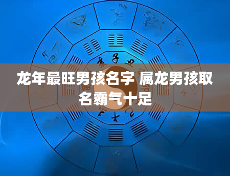 龙年最旺男孩名字 属龙男孩取名霸气十足