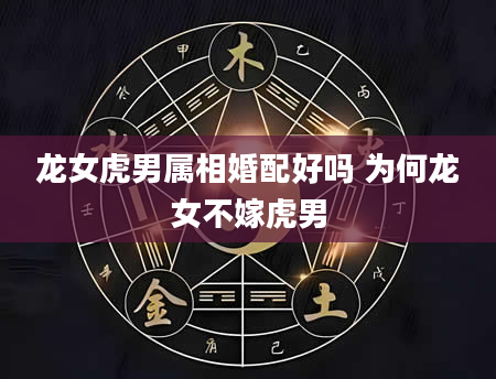 龙女虎男属相婚配好吗 为何龙女不嫁虎男