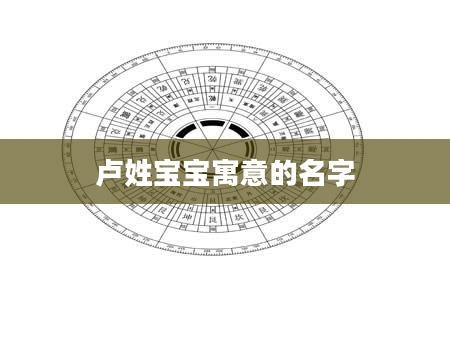 卢姓宝宝寓意的名字