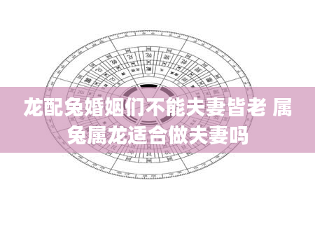 龙配兔婚姻们不能夫妻皆老 属兔属龙适合做夫妻吗