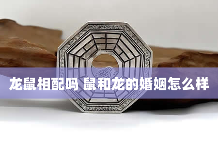 龙鼠相配吗 鼠和龙的婚姻怎么样