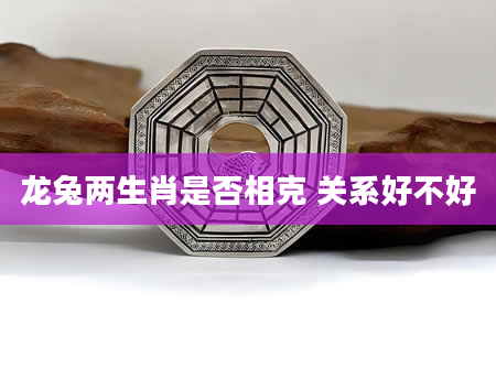 龙兔两生肖是否相克 关系好不好