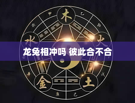 龙兔相冲吗 彼此合不合