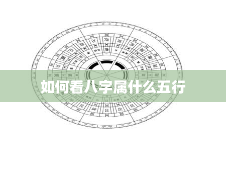 如何看八字属什么五行