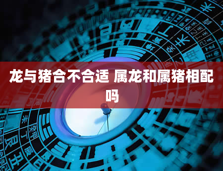 龙与猪合不合适 属龙和属猪相配吗