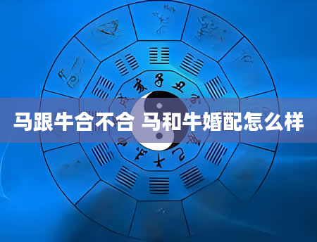 马跟牛合不合 马和牛婚配怎么样