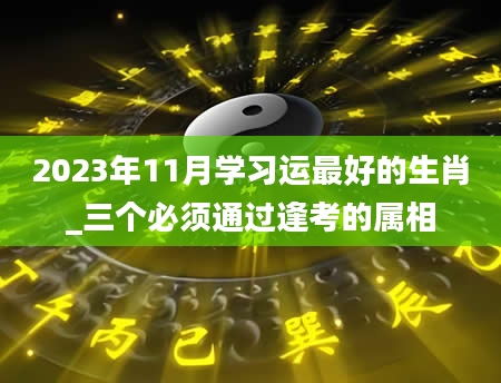 2023年11月学习运最好的生肖_三个必须通过逢考的属相