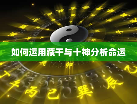 如何运用藏干与十神分析命运