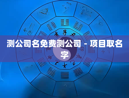 测公司名免费测公司 - 项目取名字