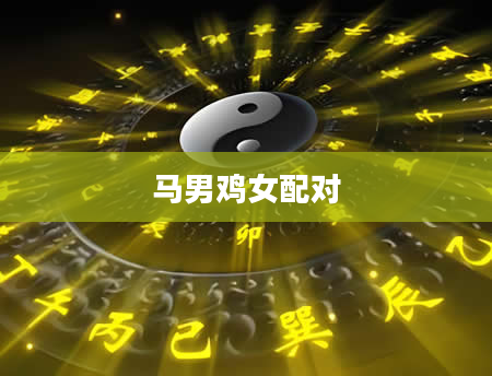 马男鸡女配对