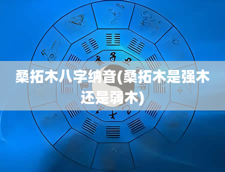 桑拓木八字纳音(桑拓木是强木还是弱木)