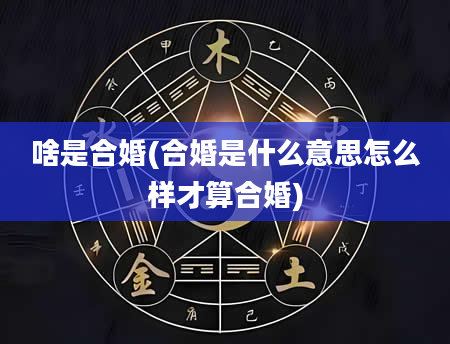 啥是合婚(合婚是什么意思怎么样才算合婚)