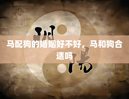 马配狗的婚姻好不好，马和狗合适吗