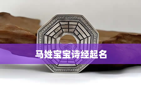 马姓宝宝诗经起名