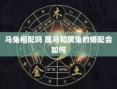 马兔相配吗 属马和属兔的婚配会如何