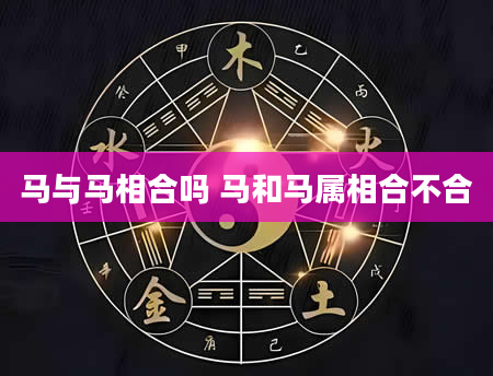 马与马相合吗 马和马属相合不合